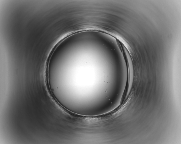 X0000096721142200802051437