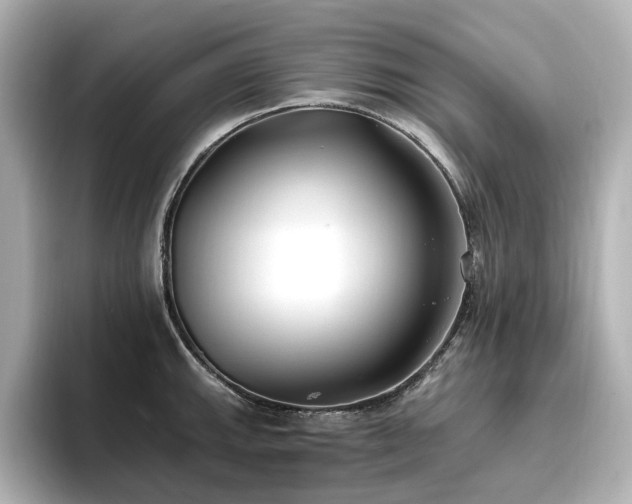 X0000096721143200802051437