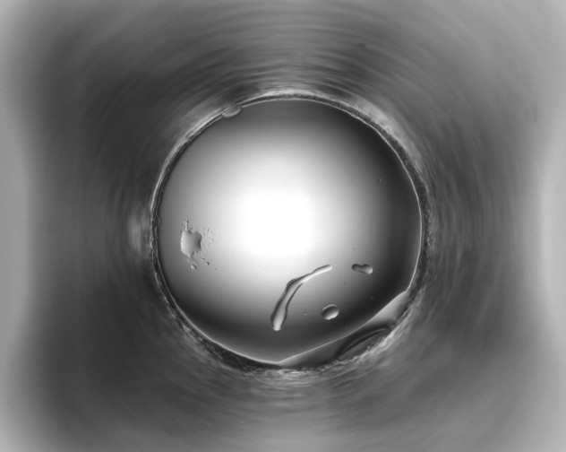 X0000096721145200802051437