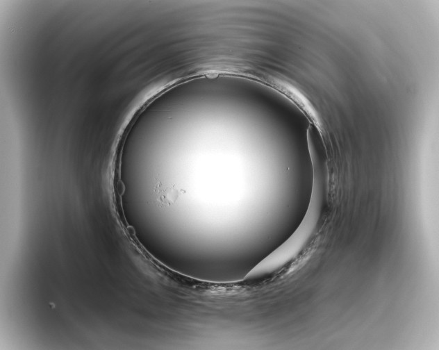 X0000096721146200802051437