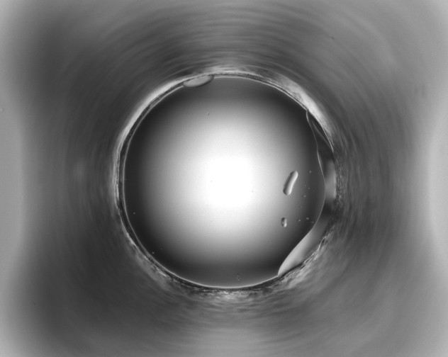 X0000096721148200802051437