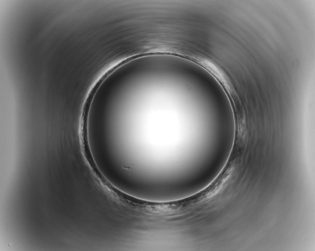 X0000096721149200802051437