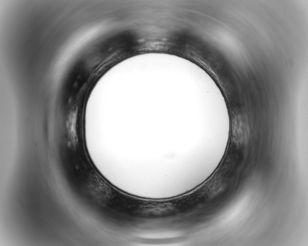 X0000096721150200802051437