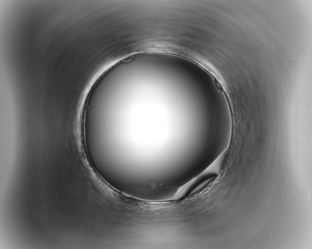X0000096721152200802051437