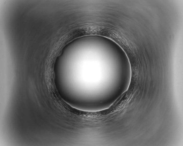X0000096721153200802051437