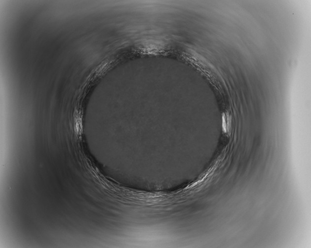 X0000096721155200802051437