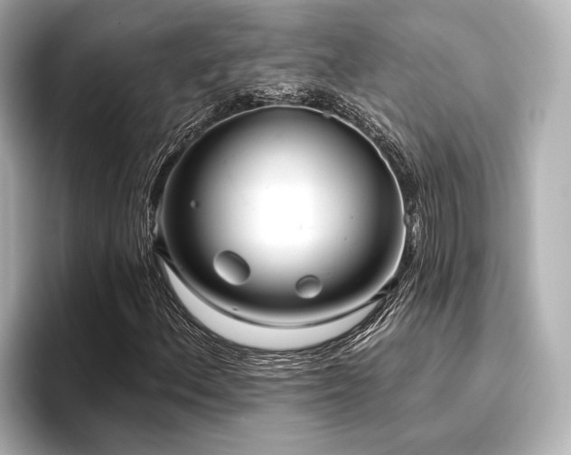 X0000096721156200802051437