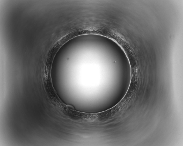 X0000096721158200802051437