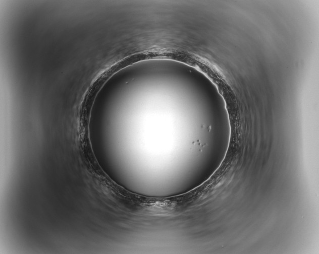 X0000096721160200802051437