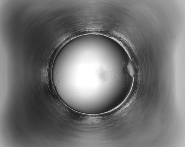 X0000096721162200802051437