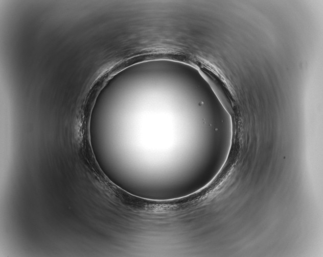 X0000096721163200802051437