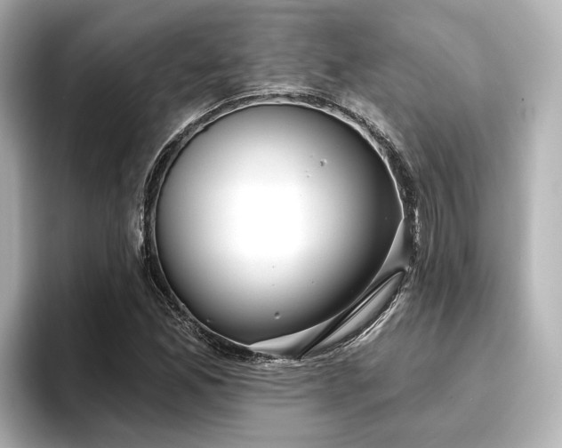 X0000096721165200802051436