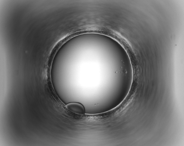 X0000096721166200802051436