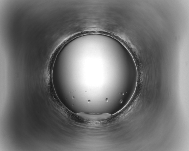 X0000096721167200802051436