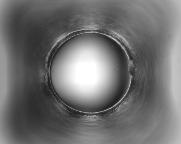 X0000096721168200802051436