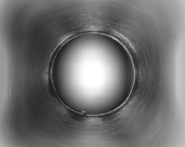 X0000096721170200802051436
