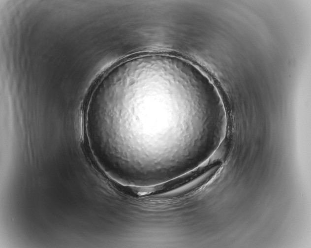 X0000096721171200802051436