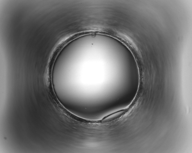 X0000096721172200802051436