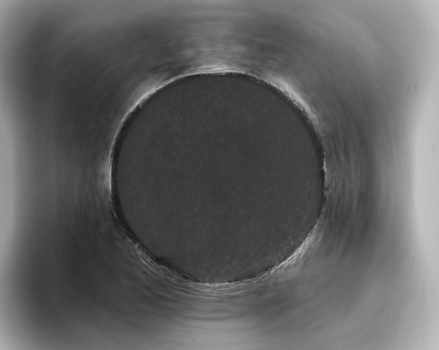 X0000096721173200802051436
