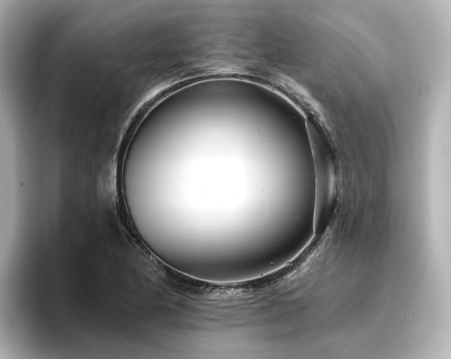 X0000096721174200802051436