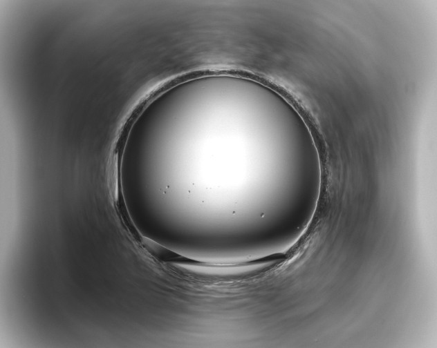 X0000096721175200802051436