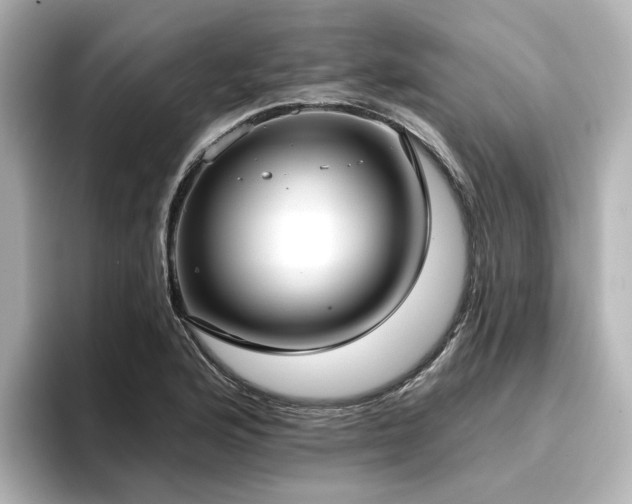 X0000096721176200802051436