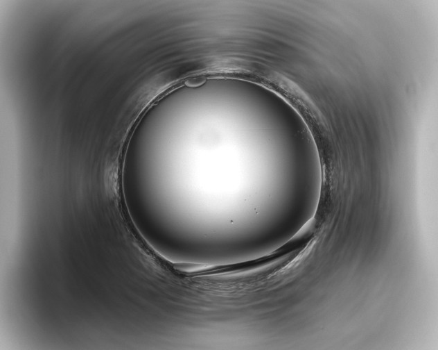 X0000096721177200802051436