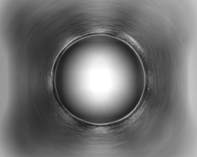 X0000096721178200802051436