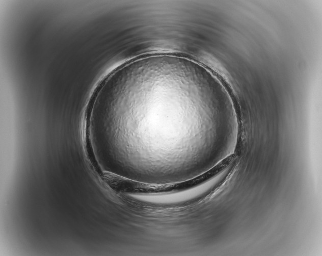 X0000096721179200802051436