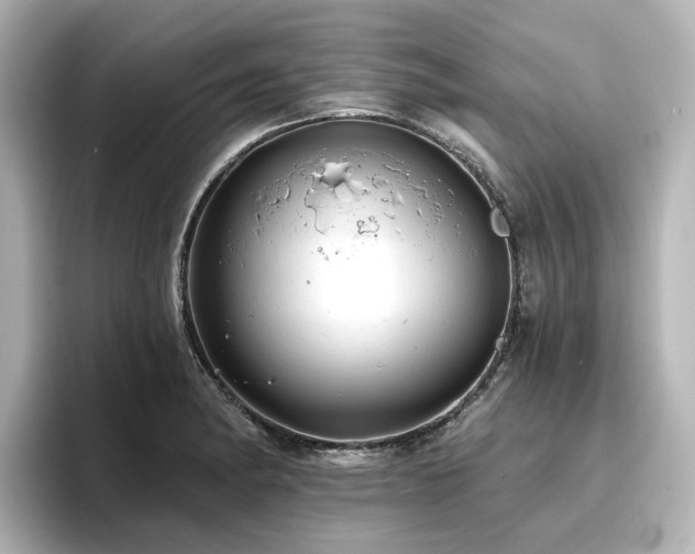 X0000096721182200802051436