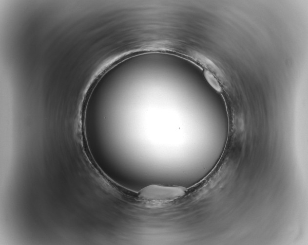 X0000096721184200802051436