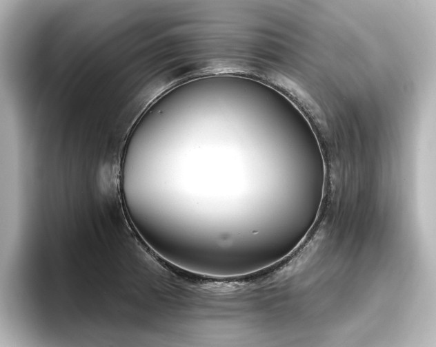 X0000096721185200802051436