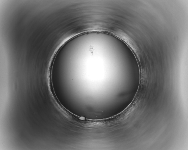 X0000096721187200802051436