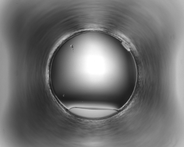 X0000096721188200802051436