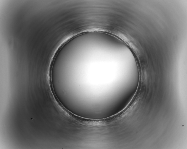 X0000096721189200802051436
