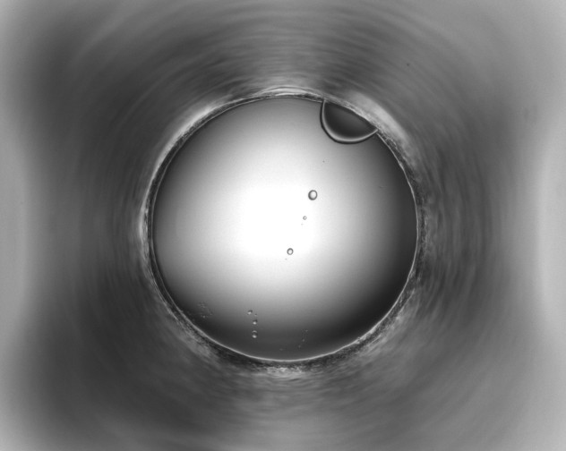 X0000096721190200802051436