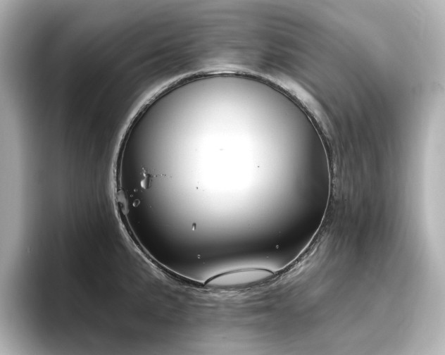 X0000096721191200802051436