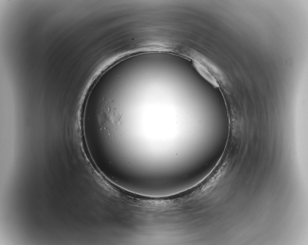 X0000096721192200802051436