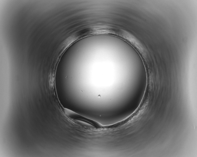 X0000096721193200802051436