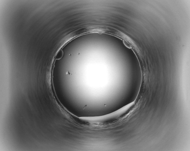 X0000096721194200802051436