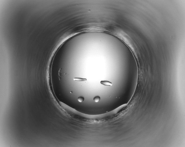 X0000096721195200802051436