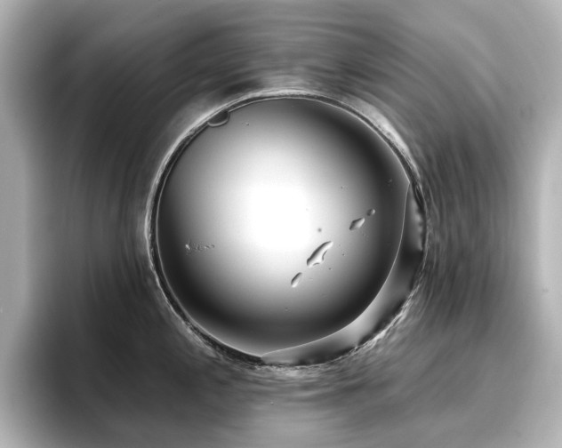 X0000096721197200802051436