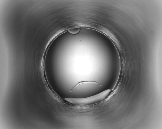X0000096721198200802051436