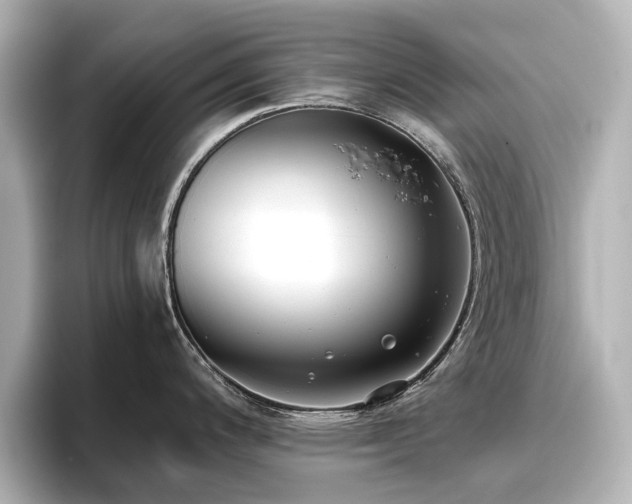 X0000096721200200802051436