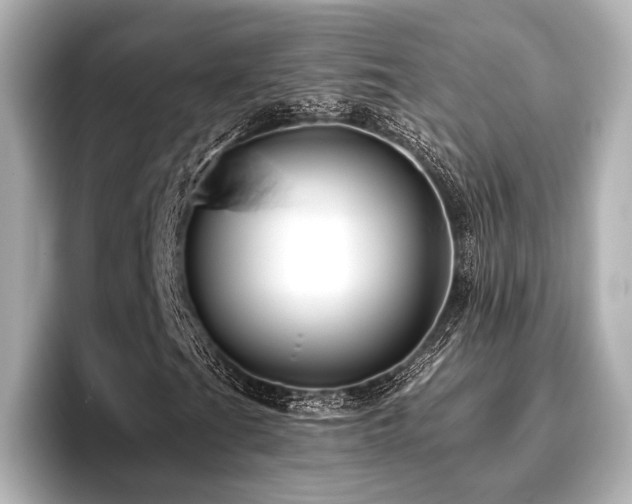 X0000096721201200802051435