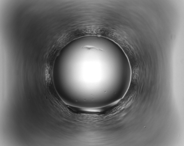 X0000096721202200802051435