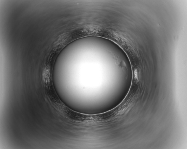 X0000096721203200802051435