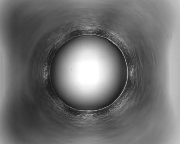 X0000096721204200802051435