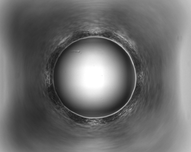 X0000096721205200802051435