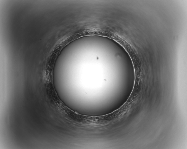 X0000096721207200802051435
